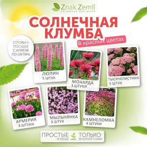 Солнечная клумба (в красных цветах)